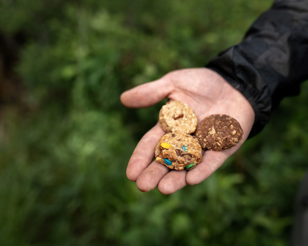 Alpen Fuel Trail Cookies